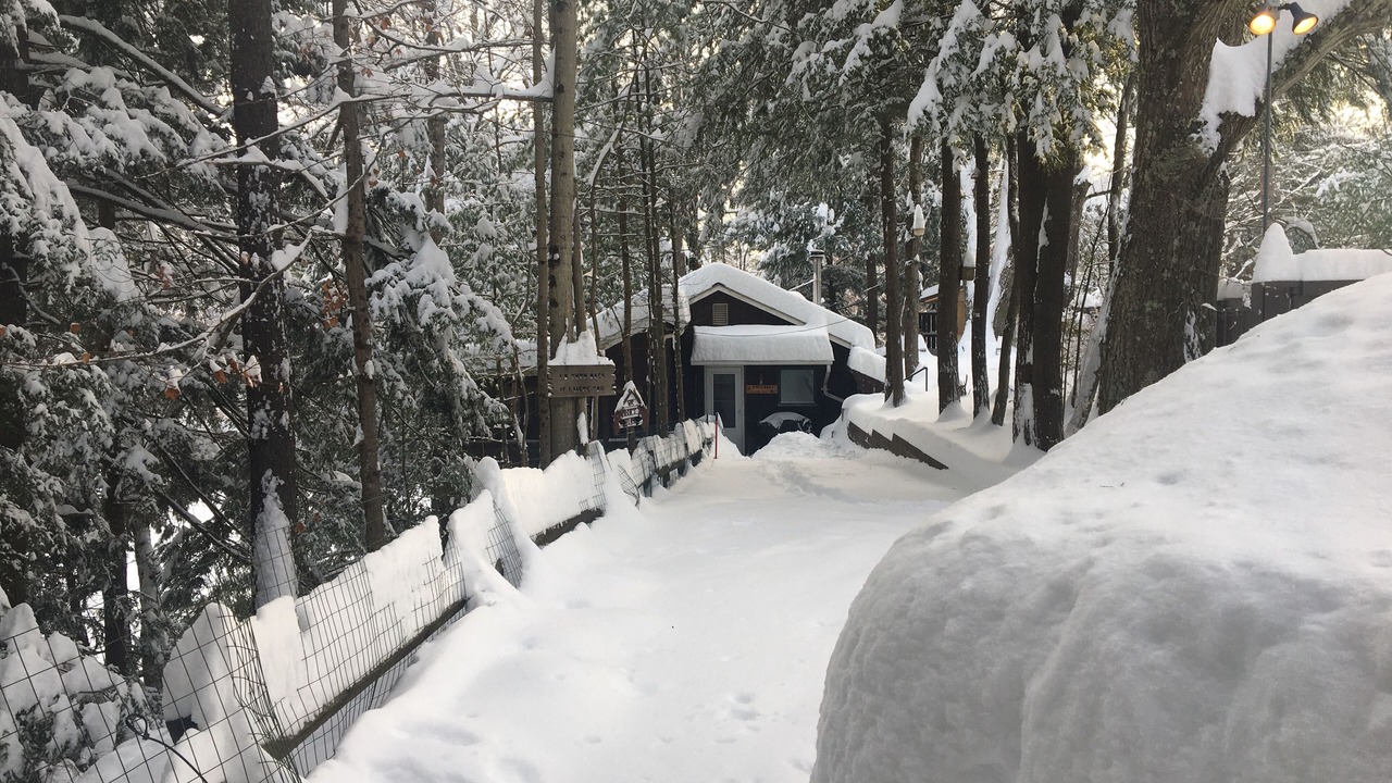 Photo of Outdoor in Gaines