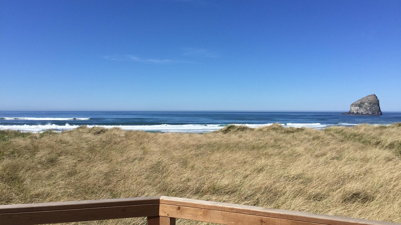 Photo of Others in Pacific City