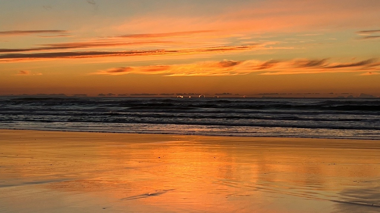 Photo of Others in Pacific City