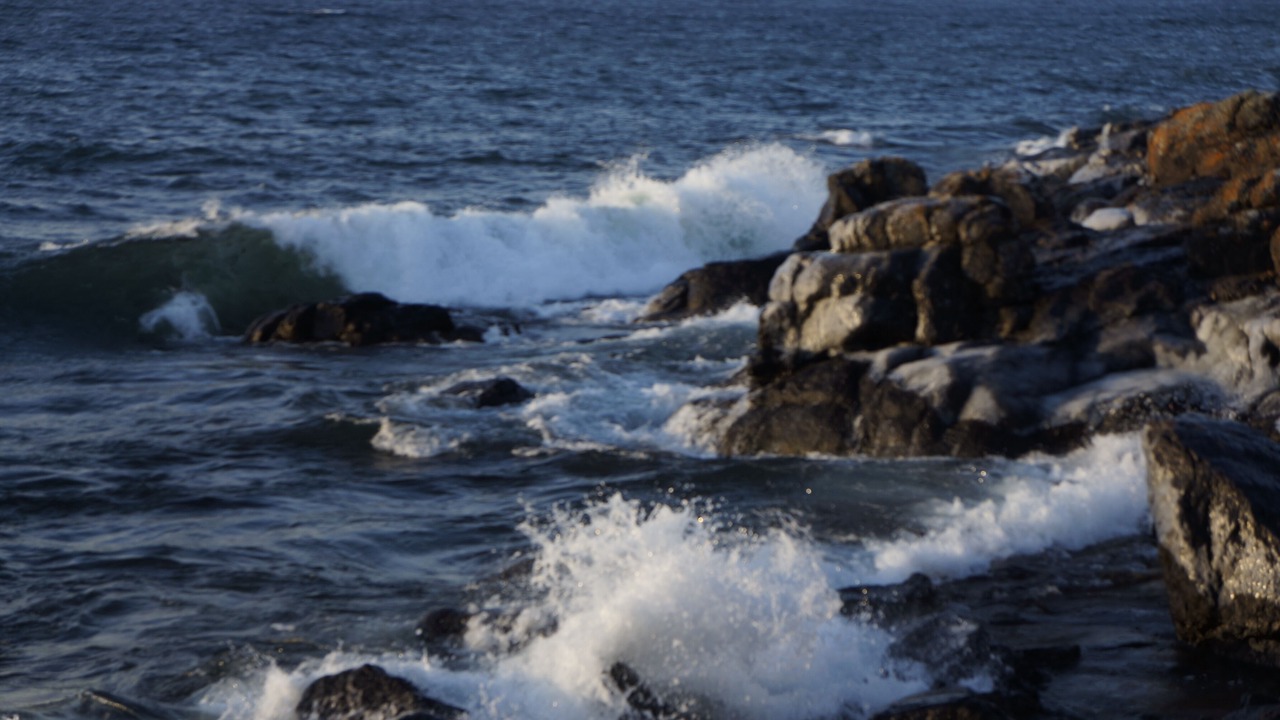 Photo of Others in Grand Marais