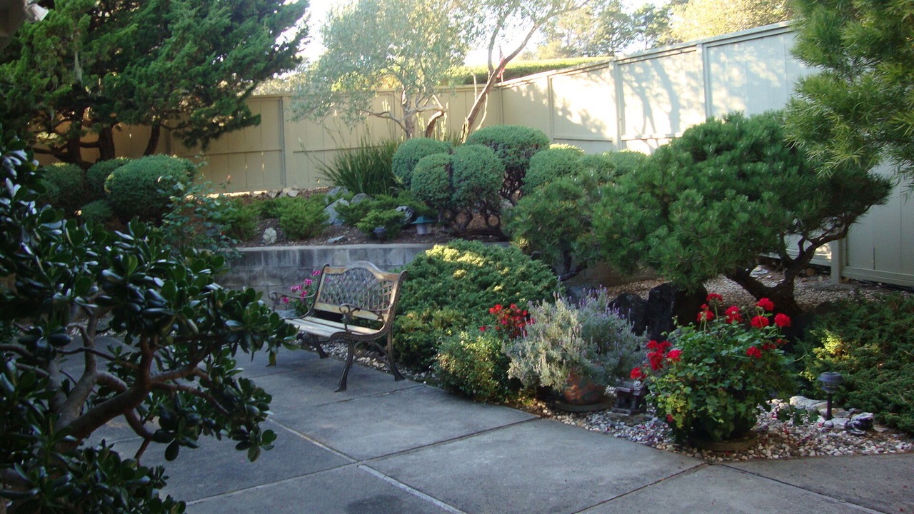 Photo of Outdoor in Carmel