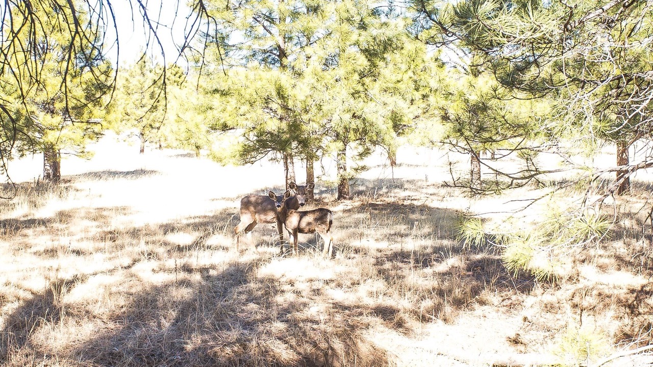 Photo of Others in Alto