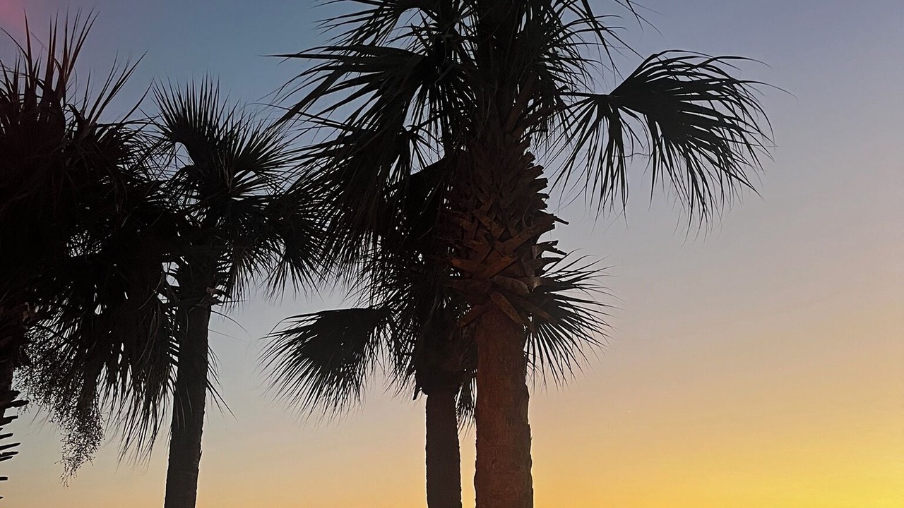 Photo of Others in Panama City Beach