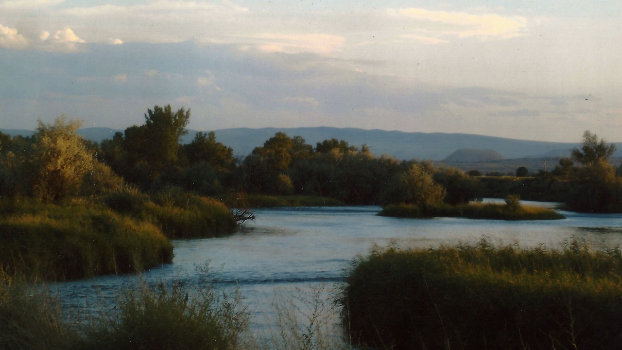 Photo of Others in Lucerne