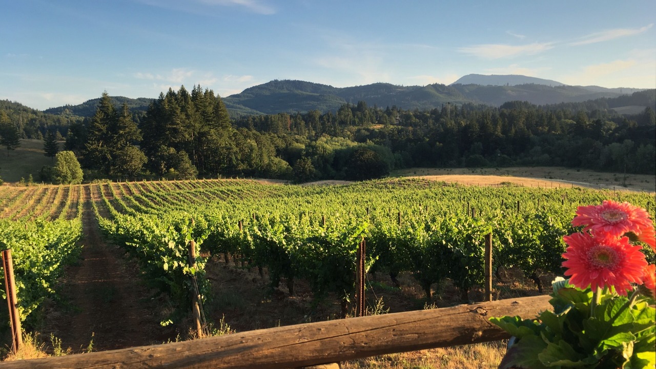 Photo of Bedroom in Philomath
