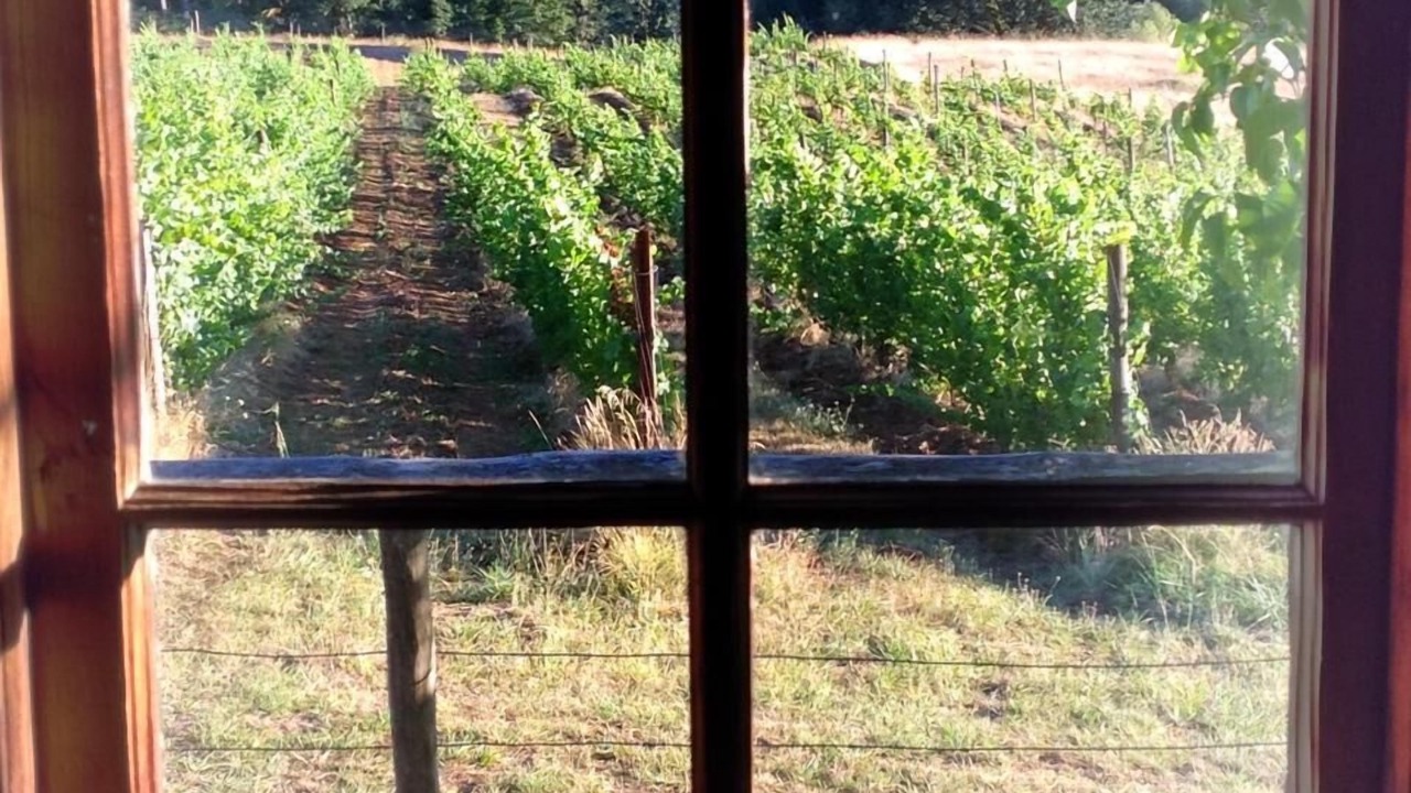 Photo of Others in Philomath