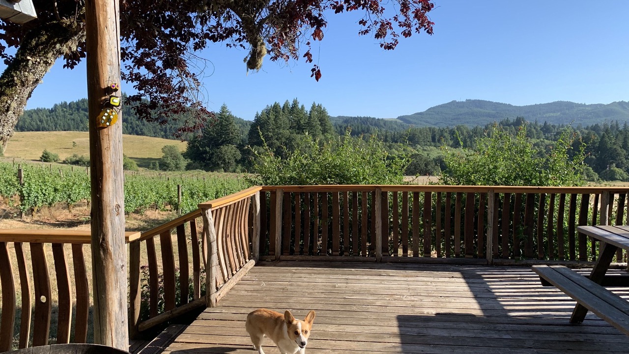 Photo of Others in Philomath