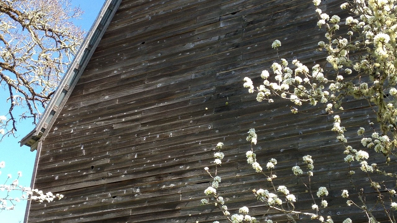 Photo of Others in Philomath