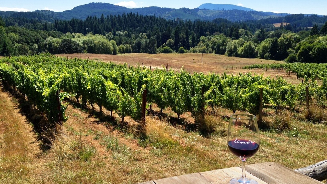 Photo of Others in Philomath