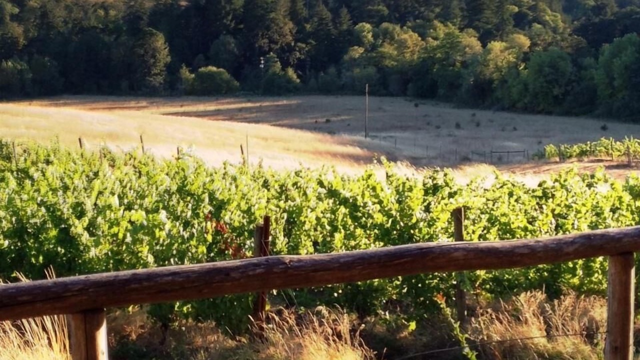 Photo of Others in Philomath