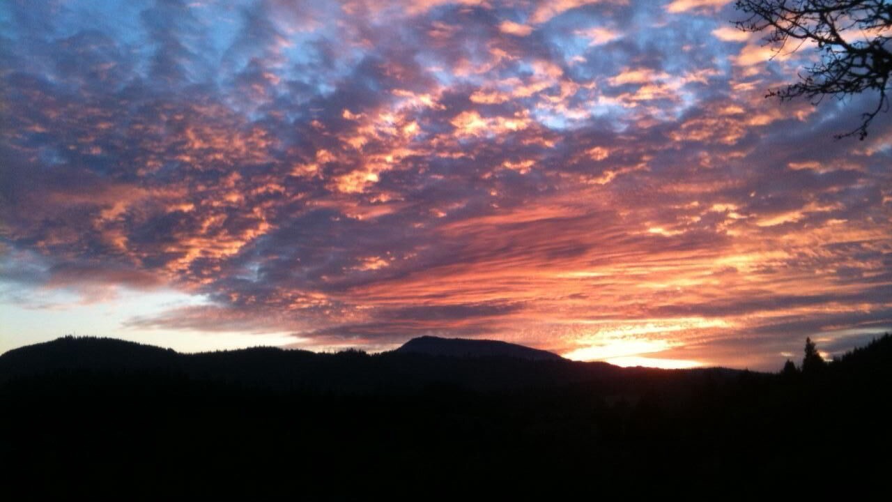 Photo of Others in Philomath