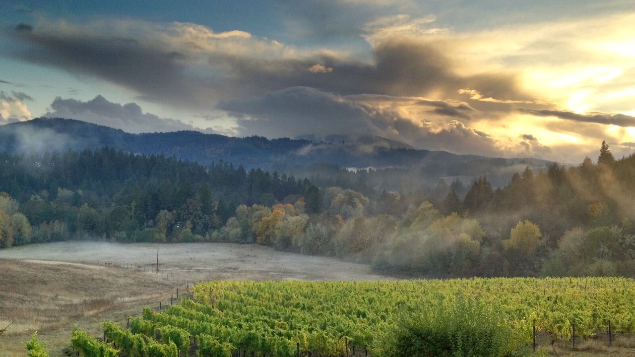 Photo of Others in Philomath