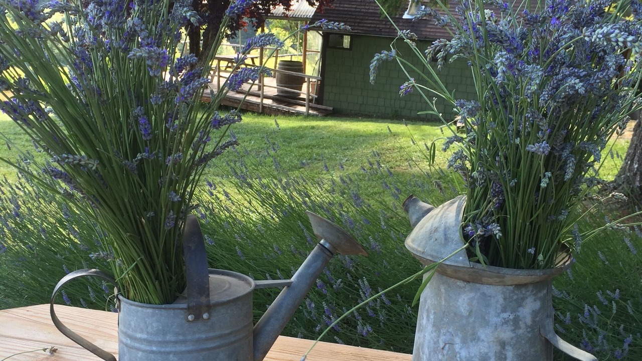 Photo of Others in Philomath