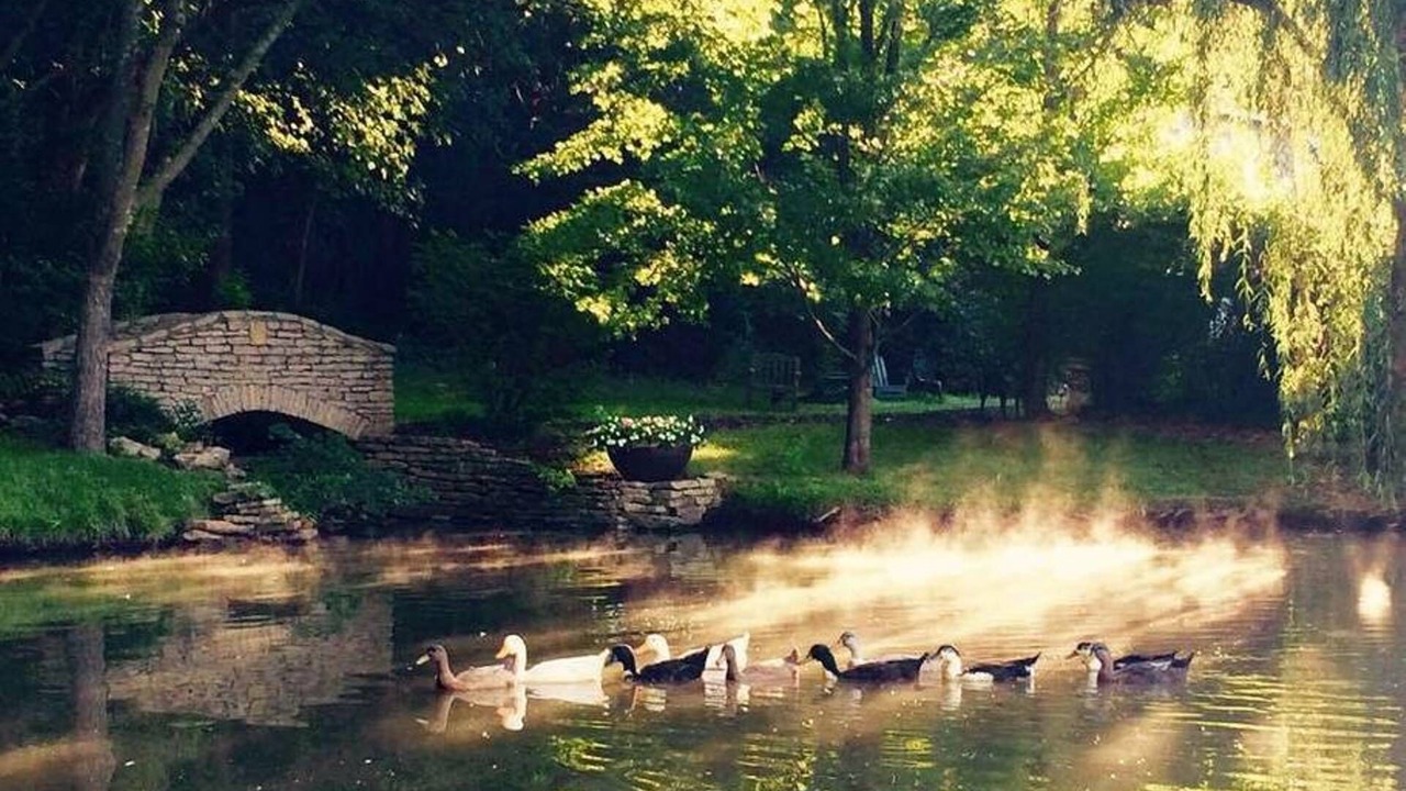 Photo of Others in Bucyrus