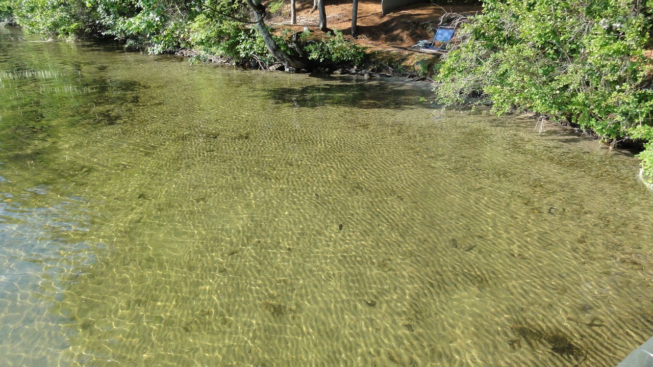 Photo of Others in Raymond