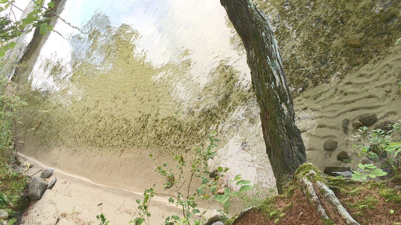 Photo of Others in Raymond