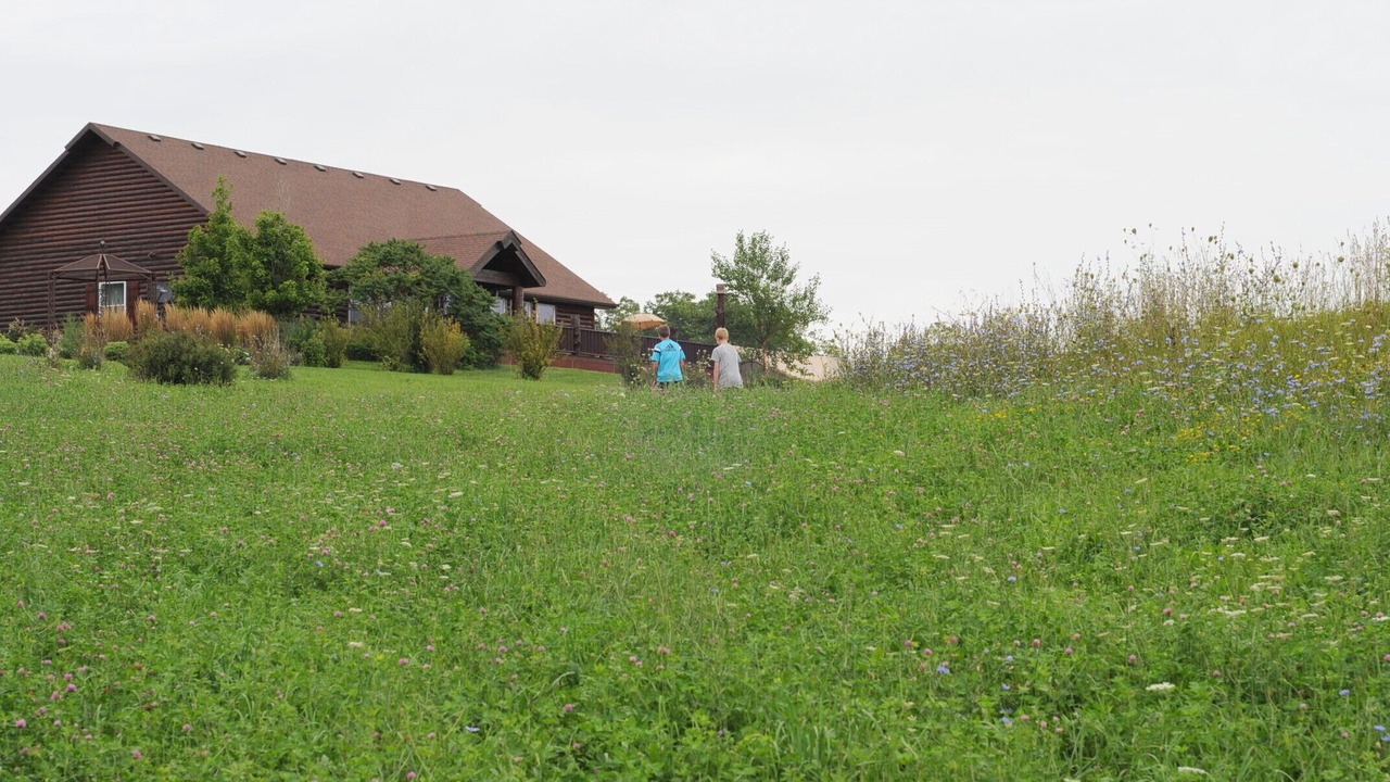 Photo of Outdoor in Cass County