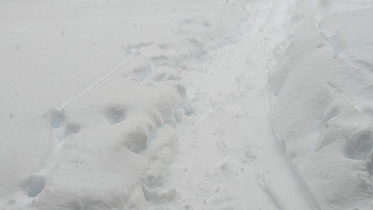Photo of Outdoor in Ludlow