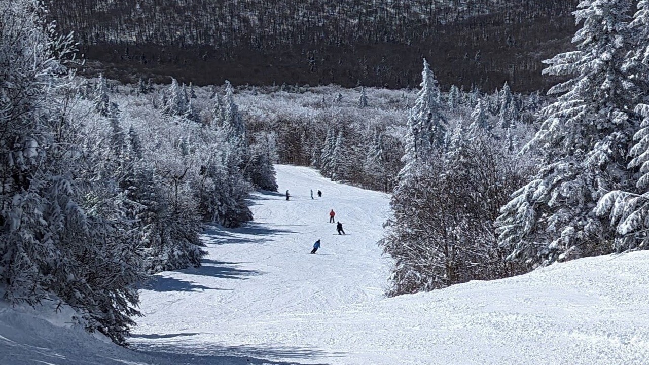 Photo of Others in Ludlow