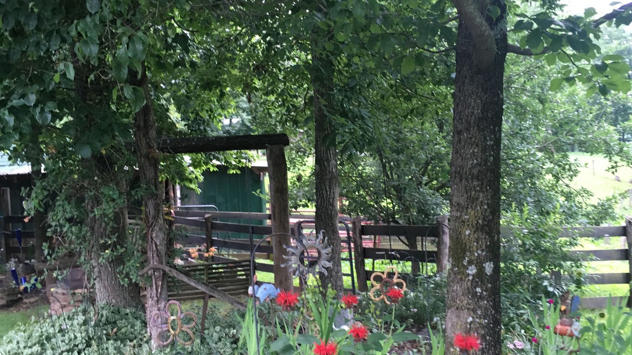 Photo of Outdoor in Mount Airy