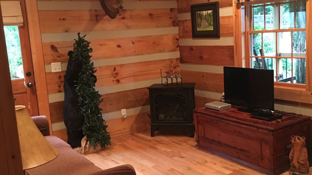 Photo of Livingroom in Mount Airy