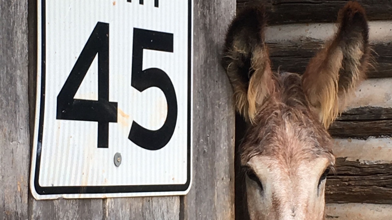 Photo of Outdoor in Mount Airy