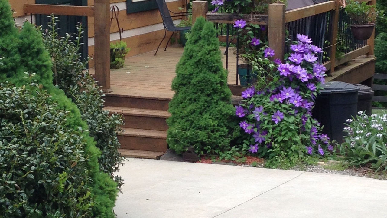 Photo of Patio Balcony in Mount Airy