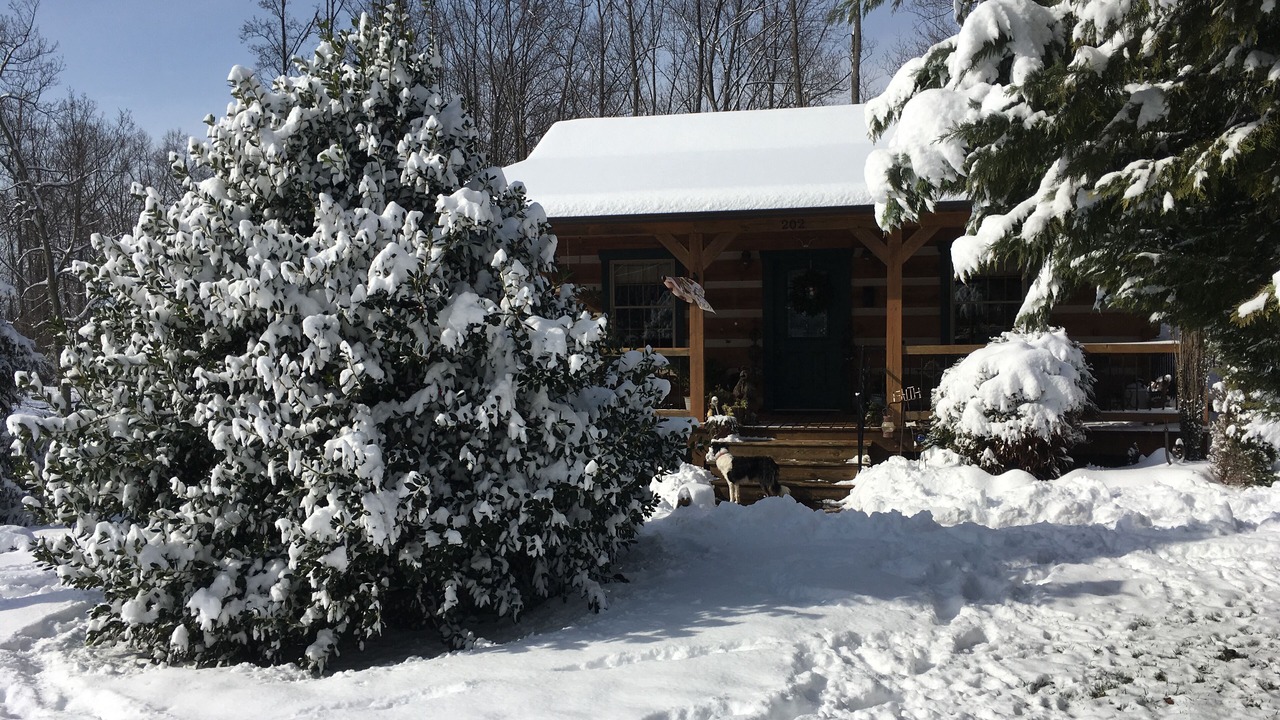 Photo of Outdoor in Mount Airy