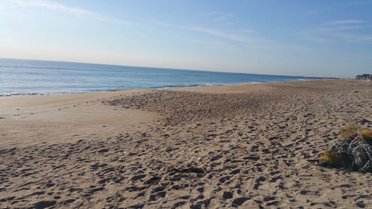Photo of Others in Salisbury Beach