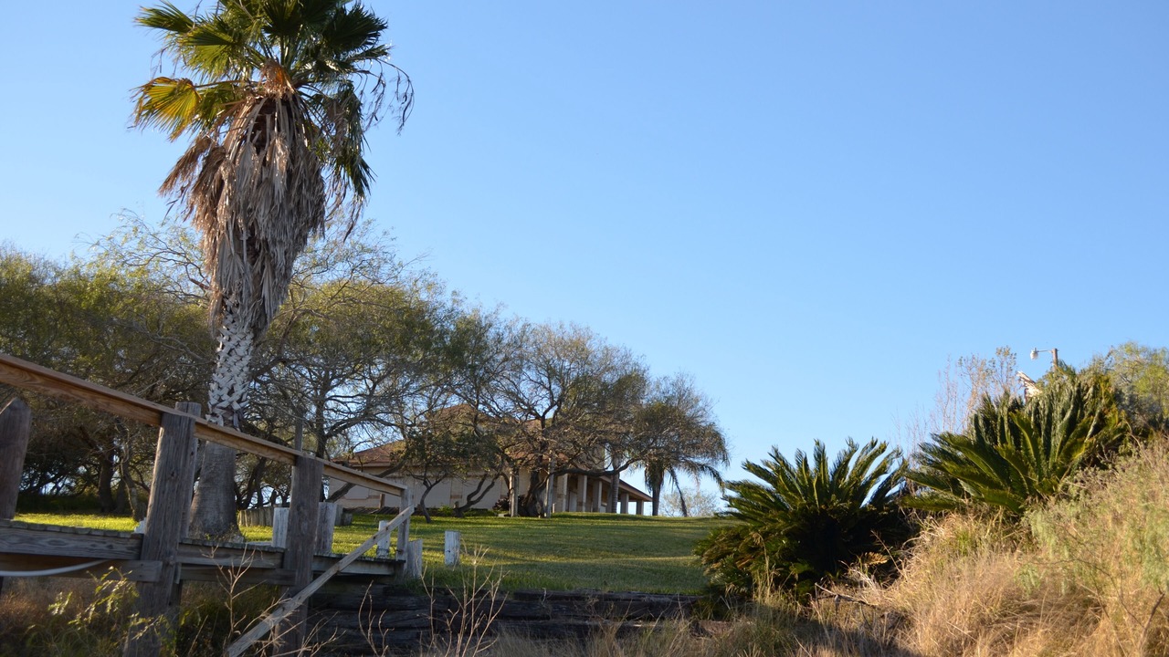 Photo of Outdoor in Riviera
