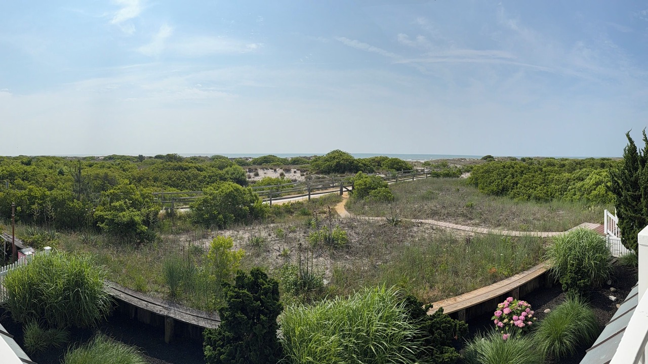 Photo of Others in Gold Coast