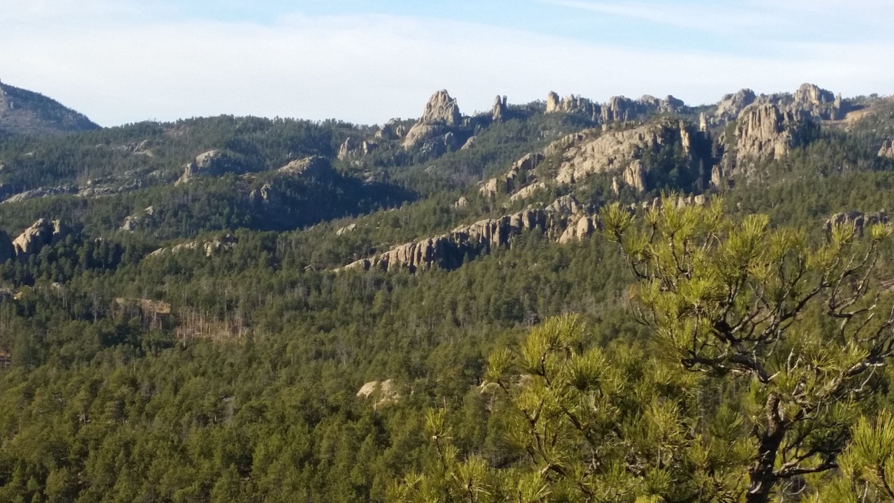 Photo of Others in Custer