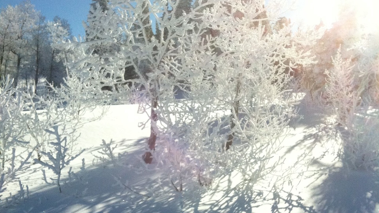Photo of Others in Powder Mountain