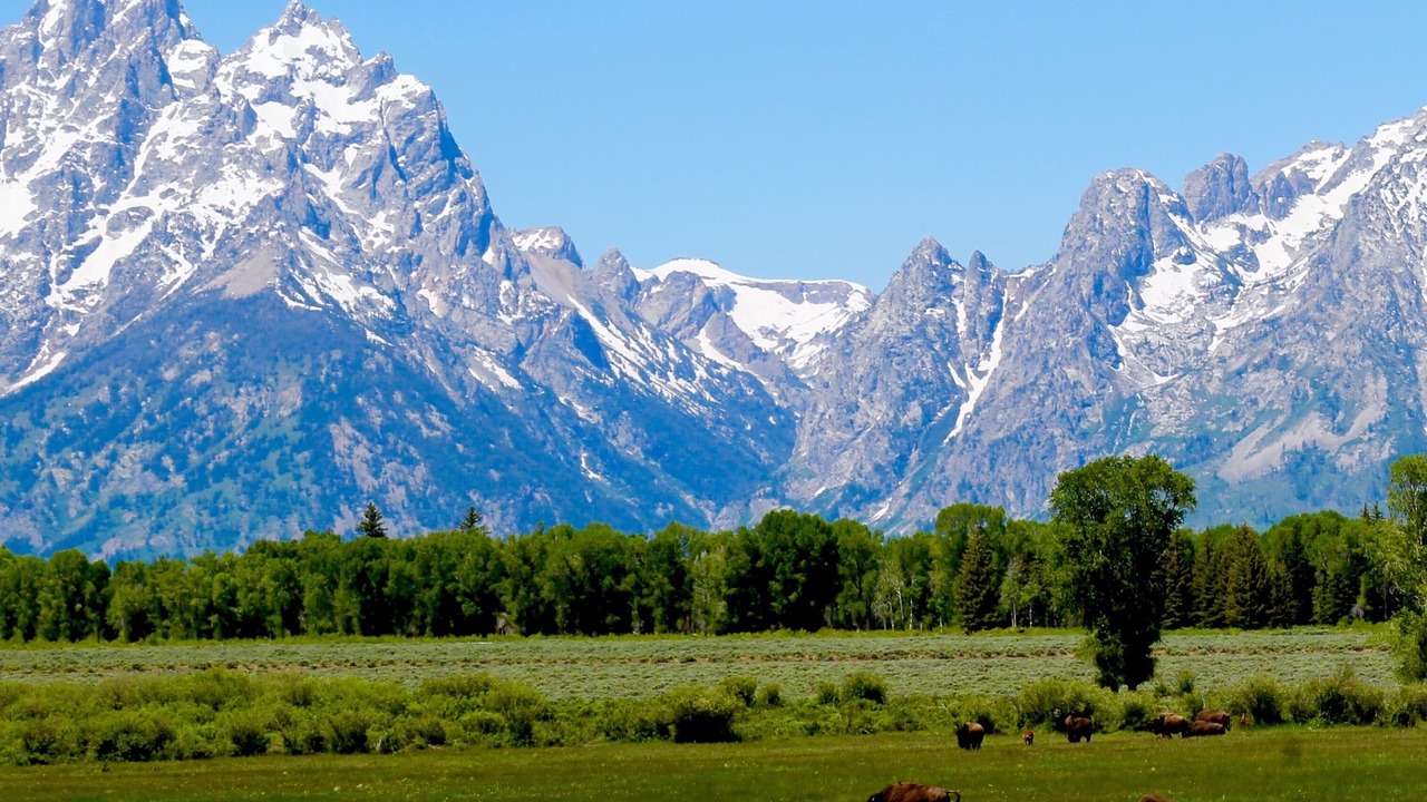 Photo of Others in Jackson