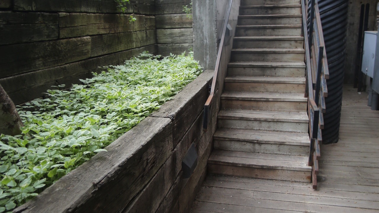 Photo of Others in Jackson