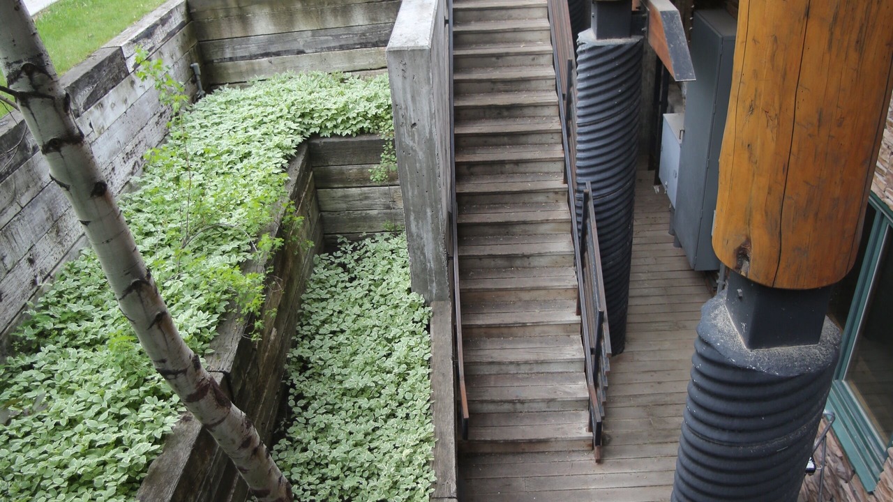 Photo of Outdoor in Jackson