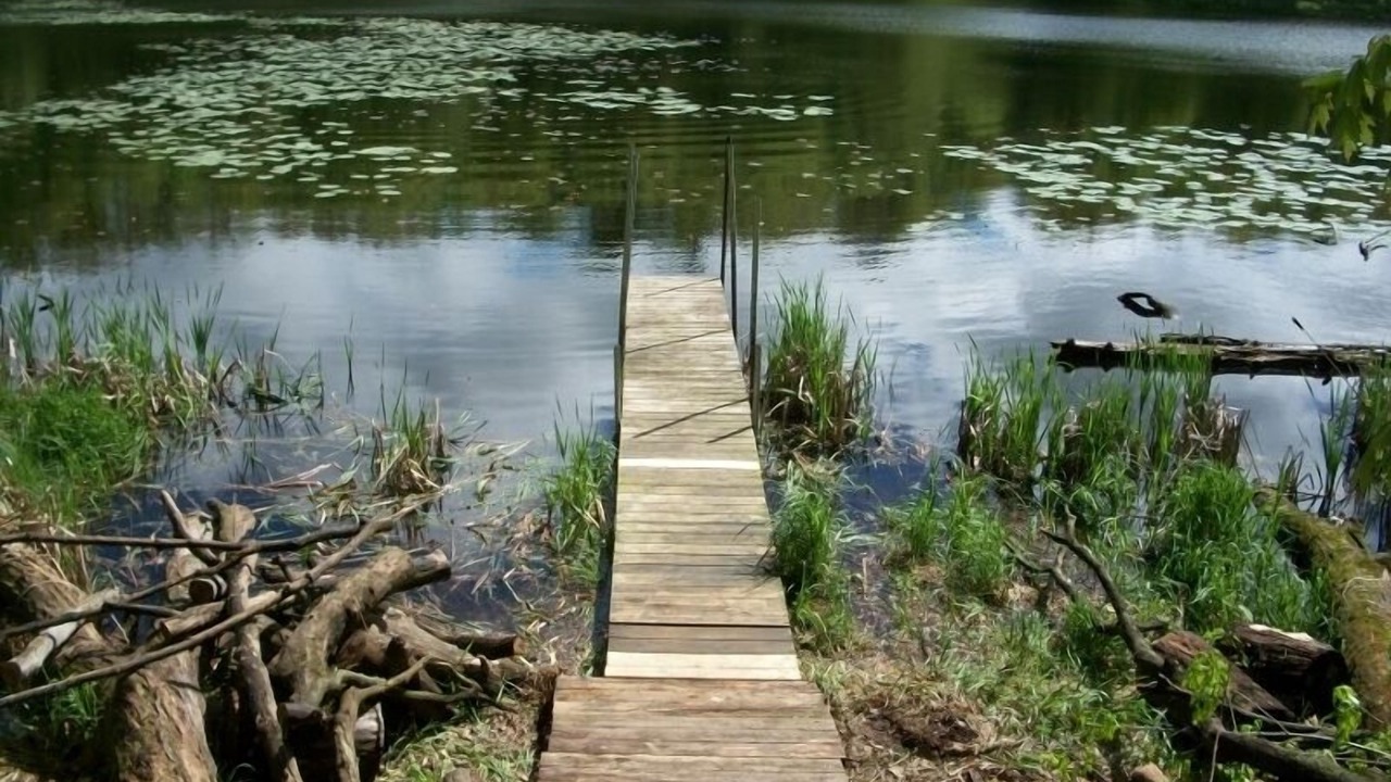 Photo of Outdoor in Barronett