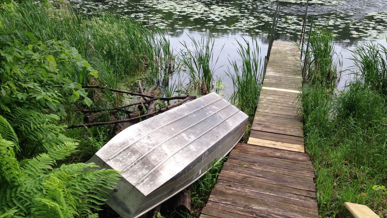 Photo of Others in Barronett