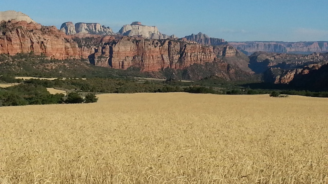 Photo of Others in Zion National Park South Entrance