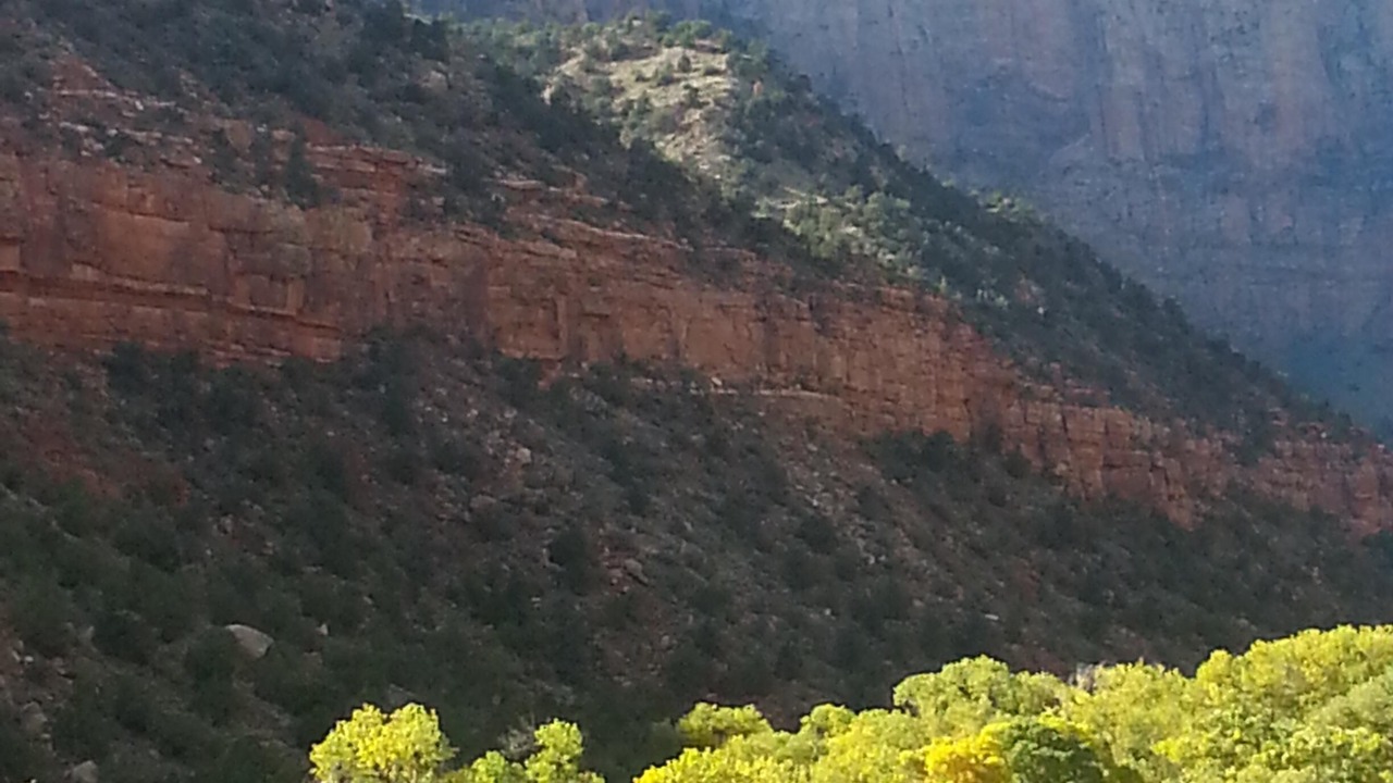 Photo of Others in Zion National Park South Entrance