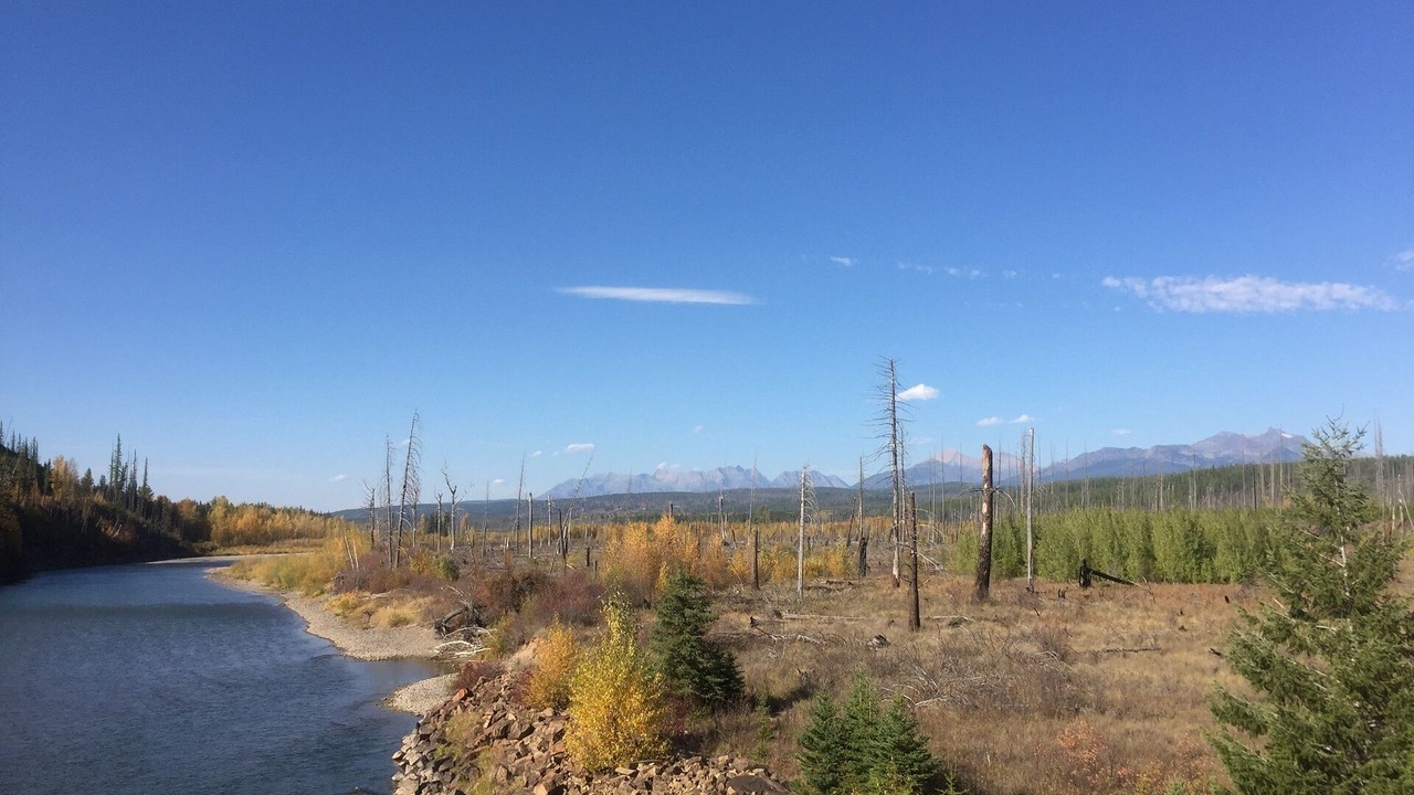 Photo of Others in Columbia Falls