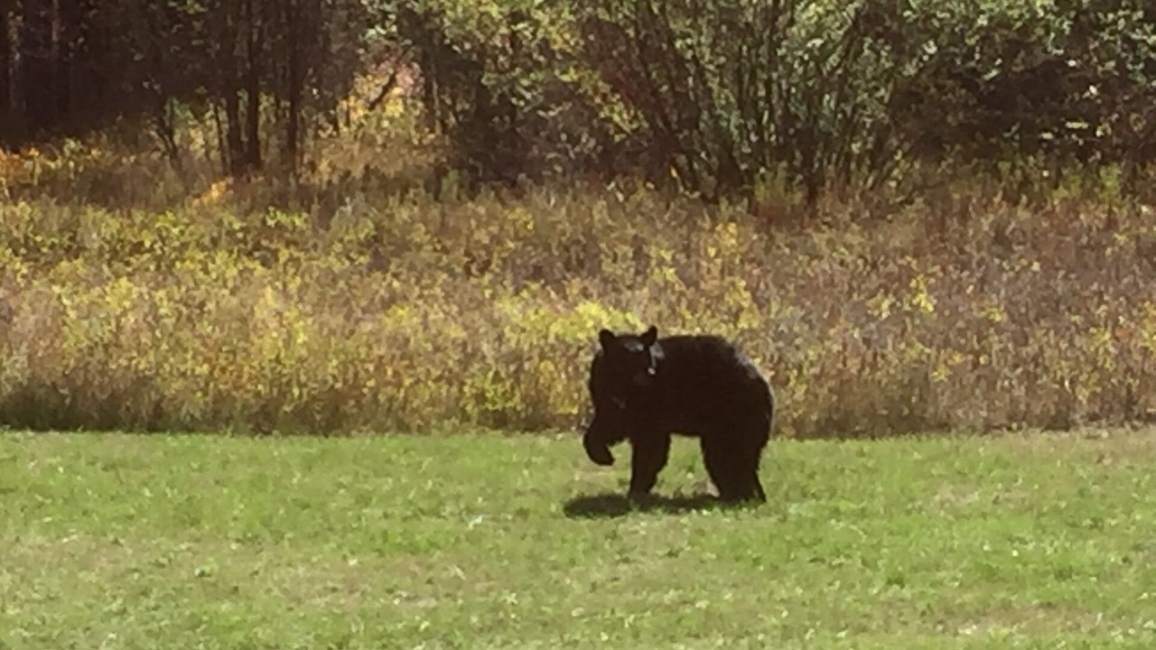 Photo of Others in Columbia Falls