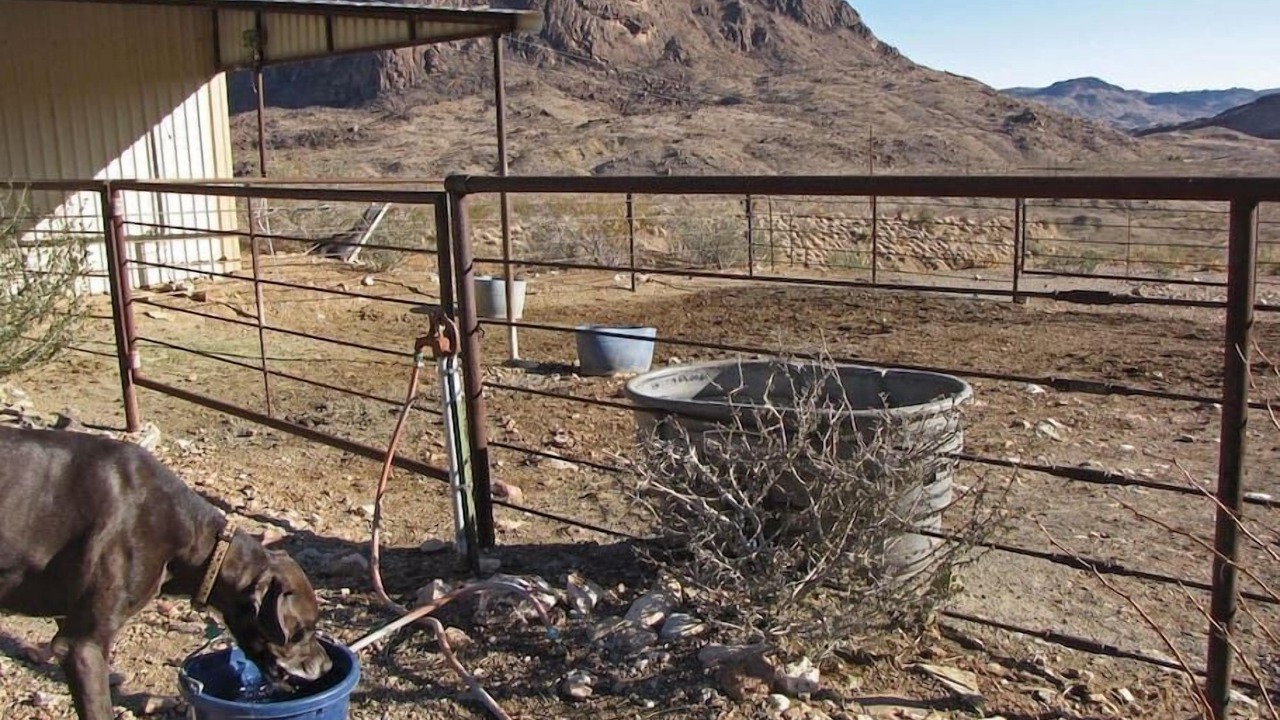 Photo of Others in Terlingua