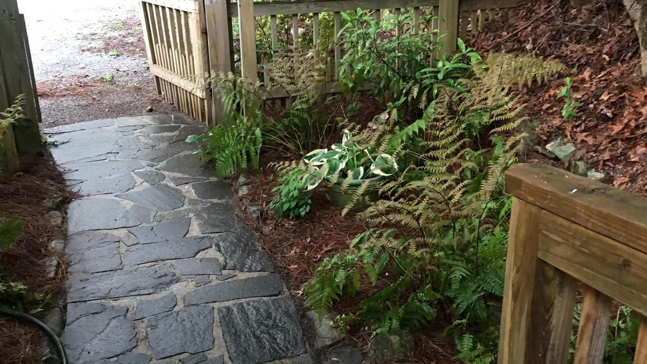 Photo of Others in Lakemont