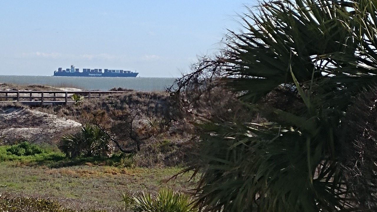 Photo of Others in Savannah Beach