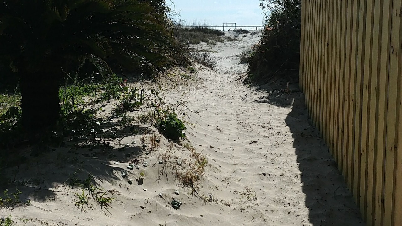 Photo of Others in Savannah Beach