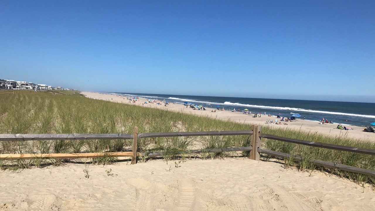 Photo of Others in Beach Haven Gardens