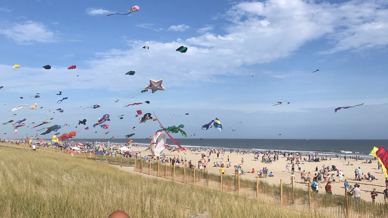 Photo of Others in Beach Haven Gardens