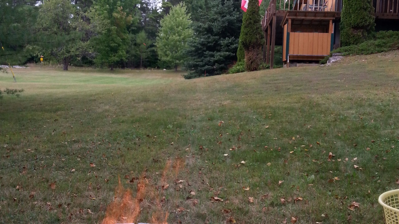 Photo of Others in Chester Shores