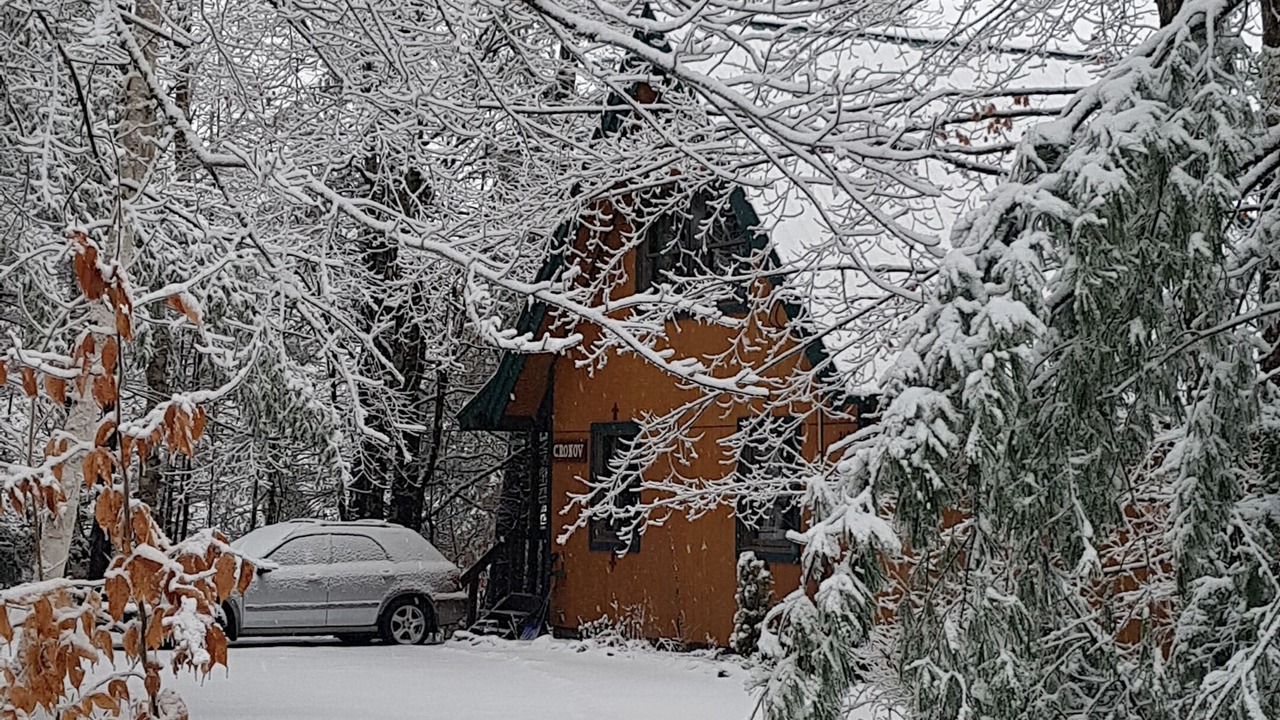 Photo of Others in Chester Shores